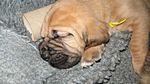 Unsere 5. Woche
